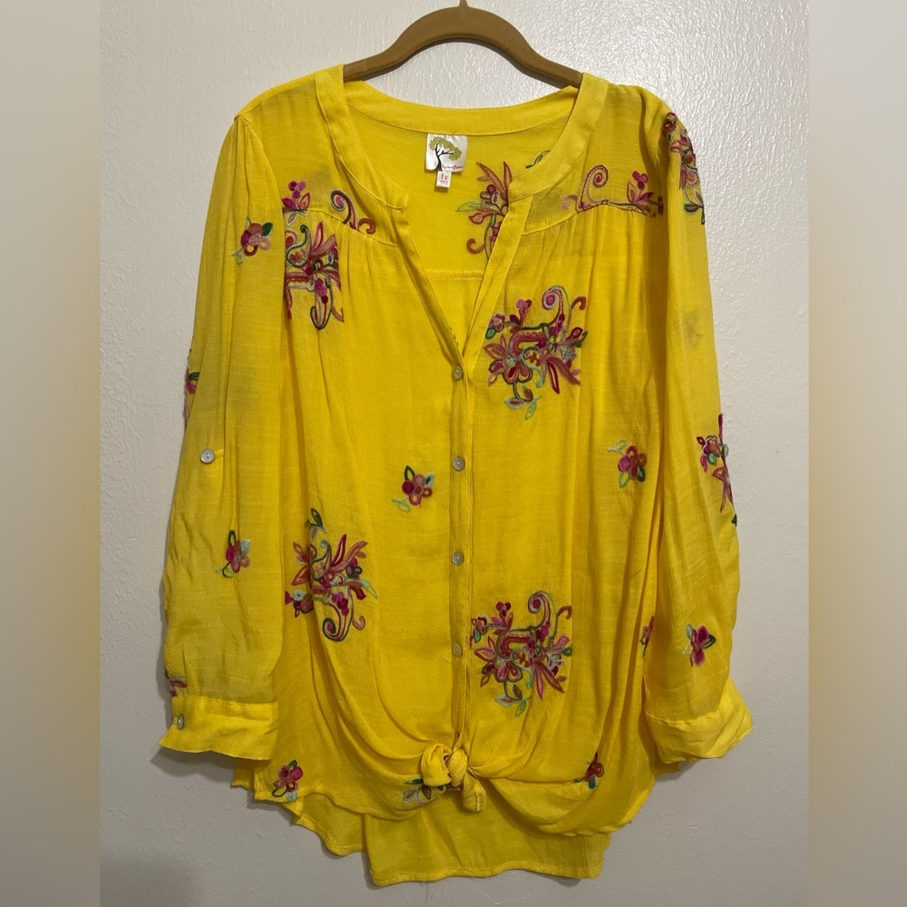 Fig and Flower sheer embroidered blouse. Good condition.